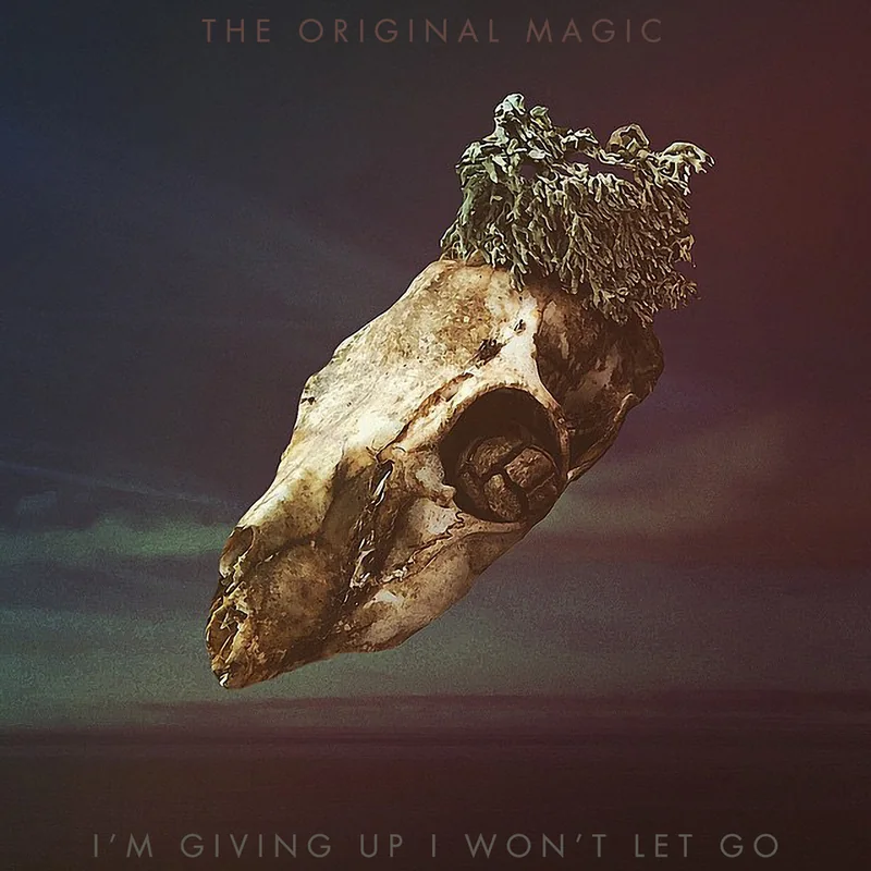 I'm Giving Up I Won't Let Go