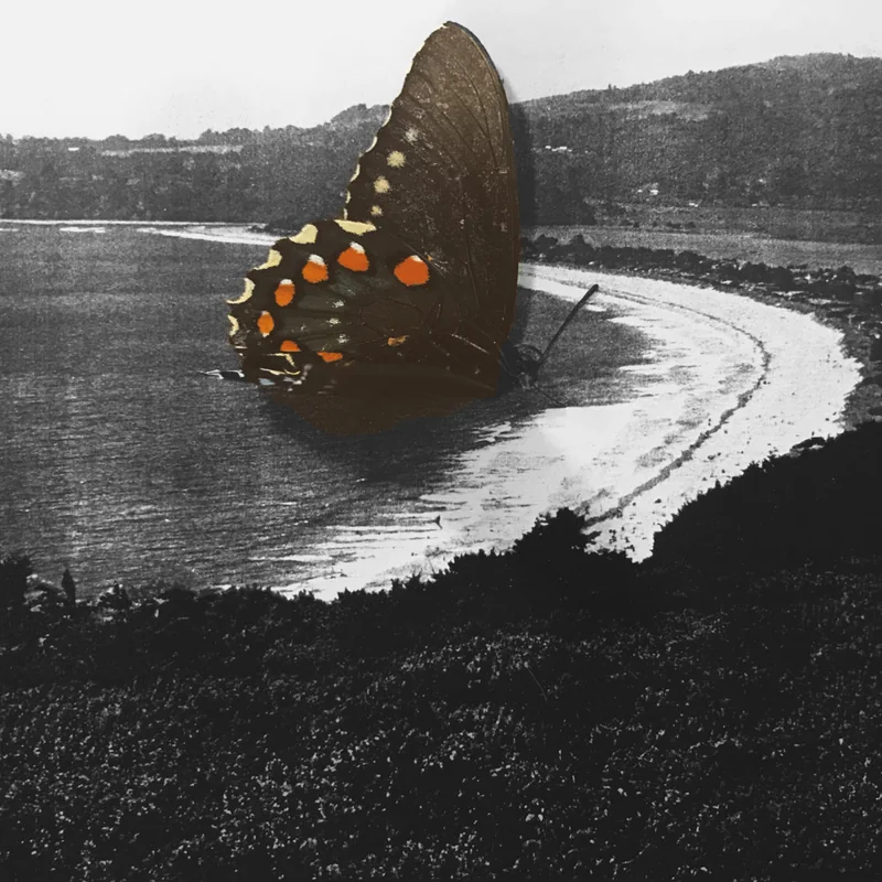 In Version