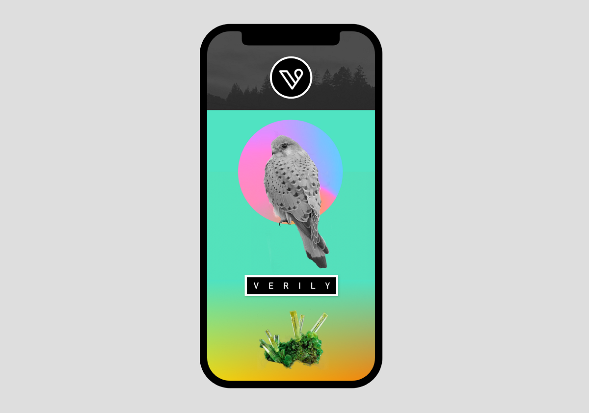 Verily — branding & app design.