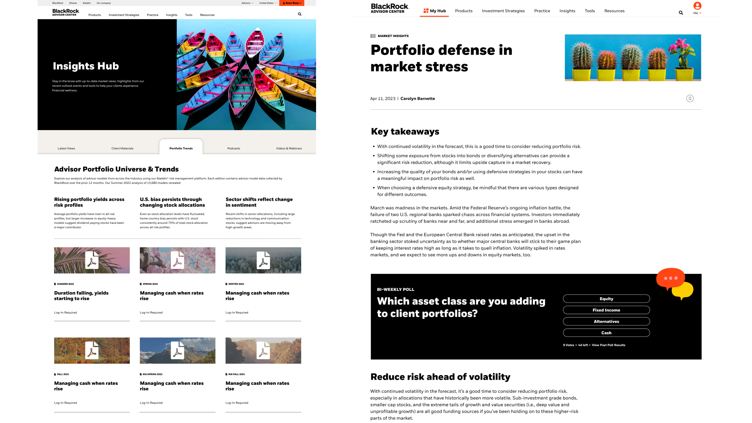BlackRock — work sample