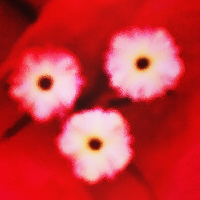 Phone Art — photo