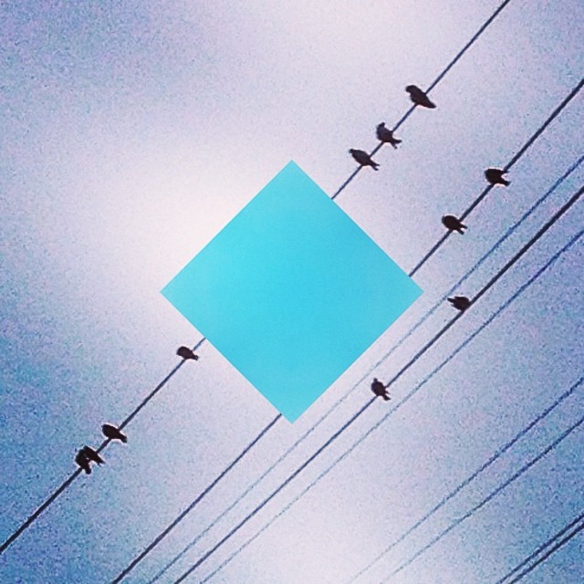 Phone Art — photo