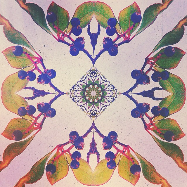 Phone Art — photo