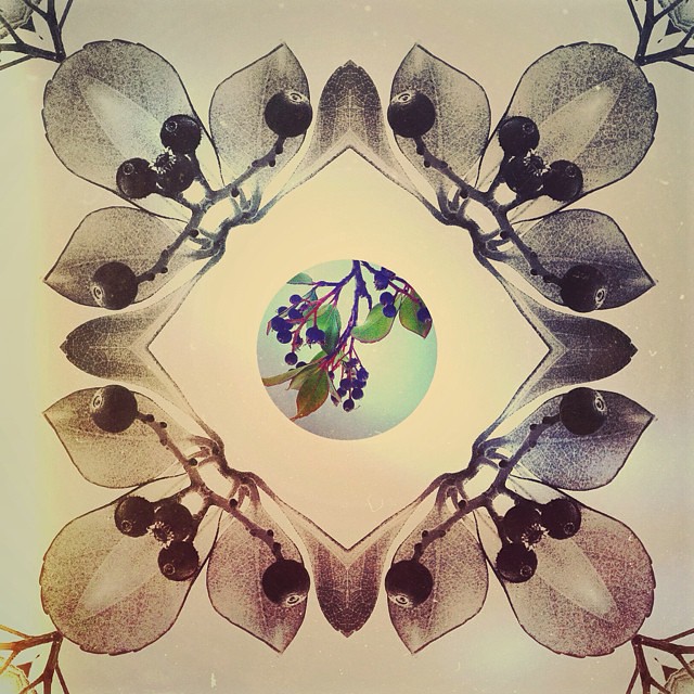 Phone Art — photo